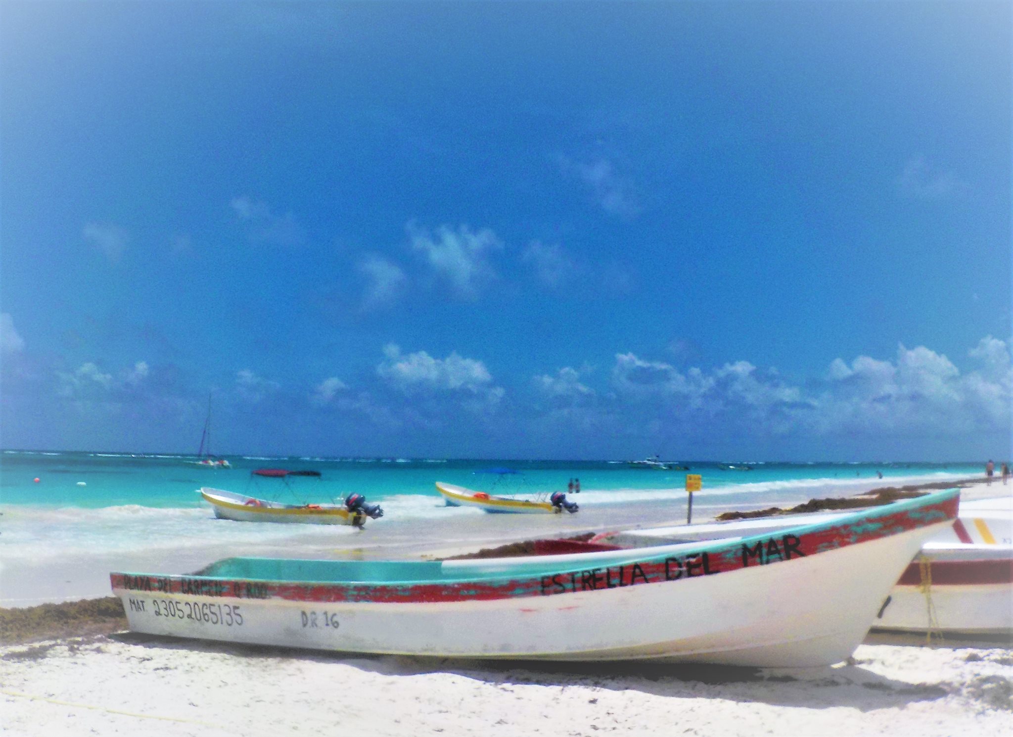 18671736_10154423974042651_4017405339240326103_o